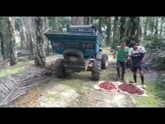 WEA08 পাম অয়েল ট্র্যাক্টর