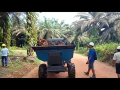 গ্র্যাপল সহ 1325 মিমি ওপেন ক্যাব পাম অয়েল হার্ভেস্টিং মেশিন ওজন 1250 কেজি