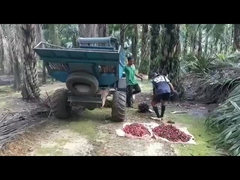 গ্র্যাপল সহ 1325 মিমি ওপেন ক্যাব পাম অয়েল হার্ভেস্টিং মেশিন ওজন 1250 কেজি