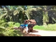 হাইড্রোলিক সিস্টেম পাম তেল উত্তোলনের জন্য পাম তেল ট্র্যাক্টর মেশিন