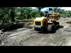 জলবাহী মিনি কৃষি ট্র্যাক্টর 14hp ইঞ্জিন পাওয়ার ট্র্যাক্টর পাম অয়েল প্ল্যান্টেশনের জন্য